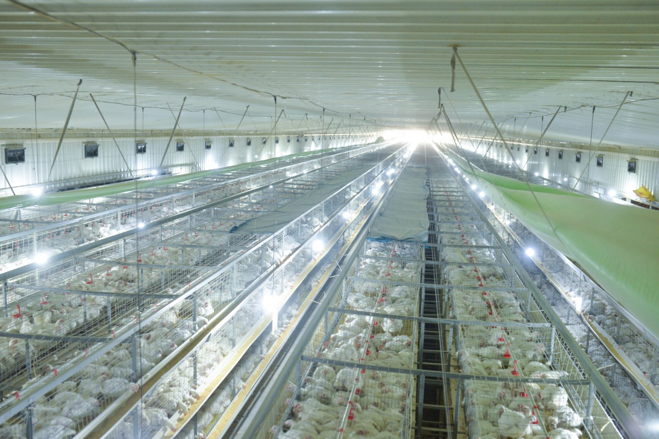mother farms